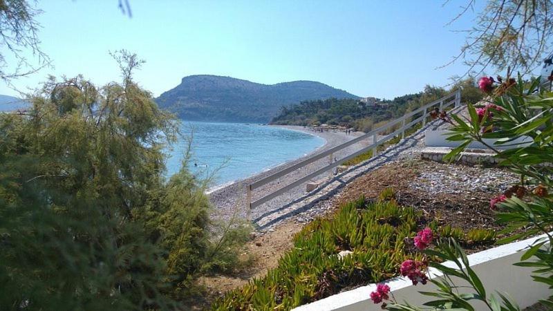 Giosonas Iason Hotel Apartments מראה חיצוני תמונה
